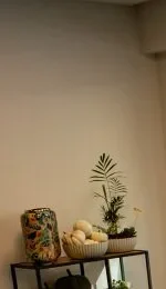 Grøn potteplante fra Sabrina's Blomster